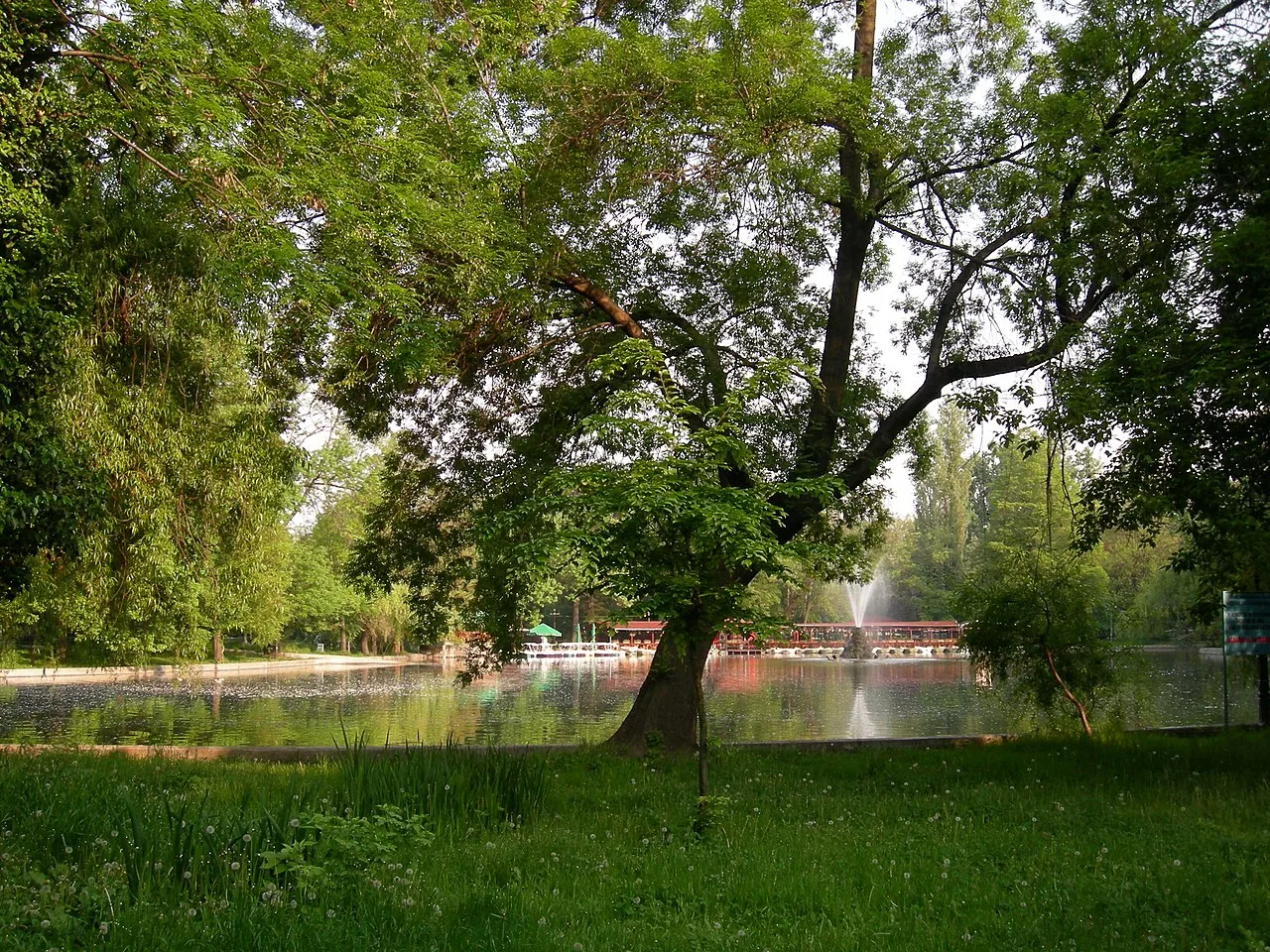 The lake of Cișmigiu Gardens in central Bucharest, with a fountain and lakeside pavilion framed by tall trees