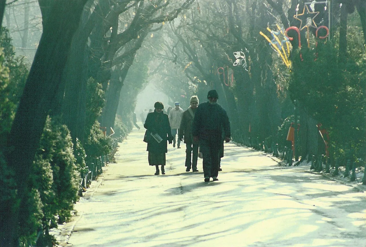 People walk down a misty, tree-lined promenade in Bucharest's Cișmigiu Gardens, framed by tall bare trees