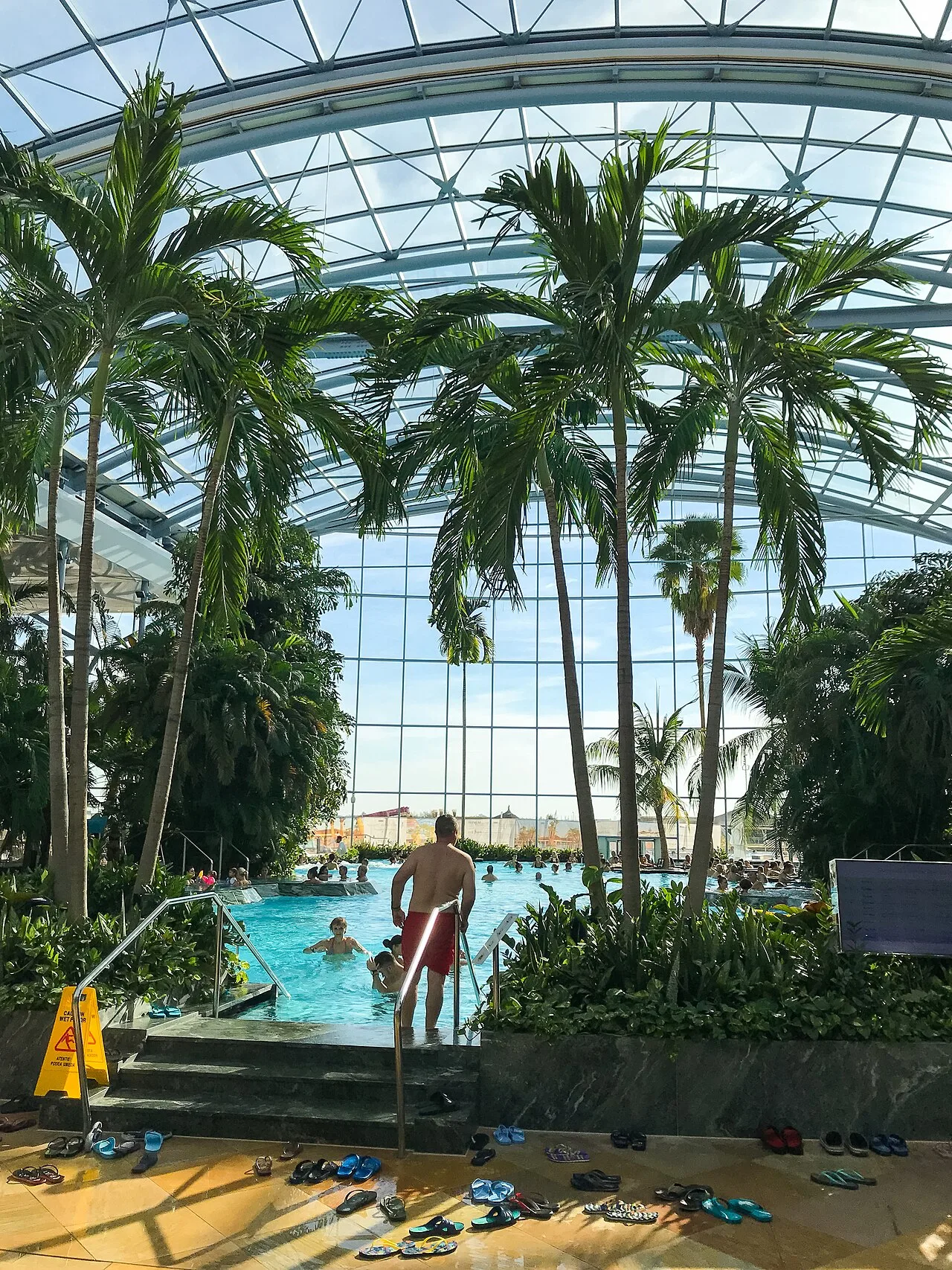 The glass-domed indoor pool of Therme București, with tall palm trees and bathers under a curved glass roof